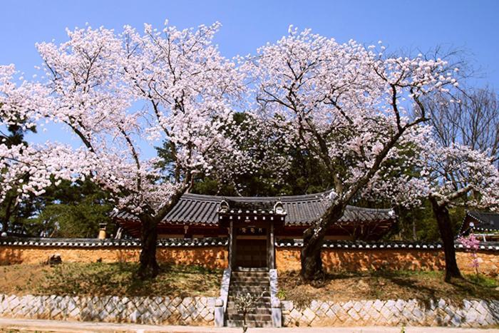 Wolamjae Villa Gyeongju Exterior photo