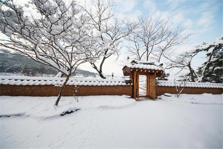 Wolamjae Villa Gyeongju Room photo